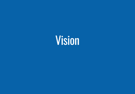 Vision